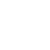 V Check